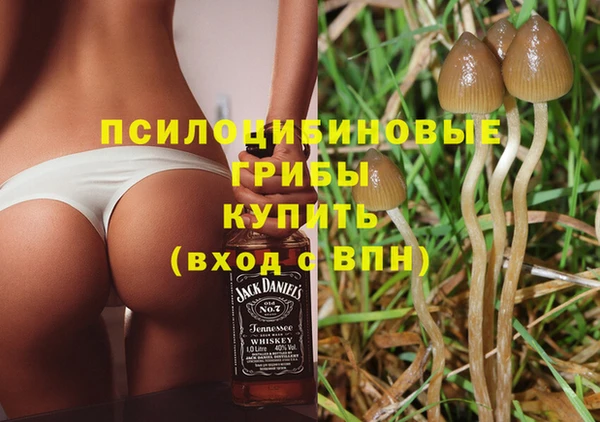 прущие грибы Алексеевка