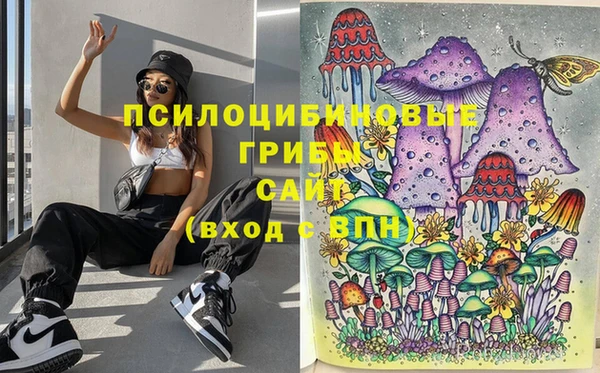прущие грибы Алексеевка
