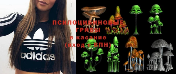 СК Алзамай