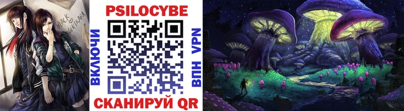 Галлюциногенные грибы Psilocybe  Дубна 